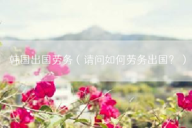 韩国出国劳务（请问如何劳务出国？）