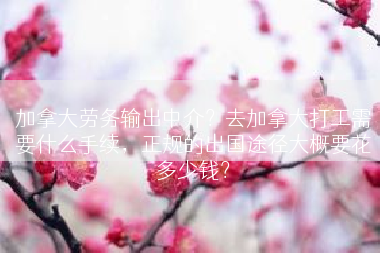 加拿大劳务输出中介？去加拿大打工需要什么手续，正规的出国途径大概要花多少钱？