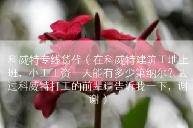 科威特专线货代（在科威特建筑工地上班，小工工资一天能有多少第纳尔？去过科威特打工的前辈请告诉我一下，谢谢）