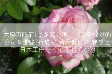 大庆市政府(黑龙江办理出国劳务较好的公司有那些?待遇好.费用低点的.我想上日本工作.一个月能挣多少?)