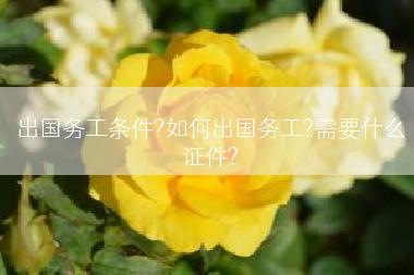 出国务工条件?如何出国务工?需要什么证件?