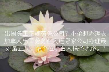 出国务工正规劳务公司？小弟想办理去加拿大出国劳务在大连哪家公司办理最好最正规。请个位明白人指条明路。？