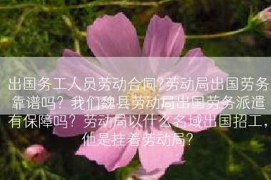 出国务工人员劳动合同?劳动局出国劳务靠谱吗？我们魏县劳动局出国劳务派遣有保障吗？劳动局以什么名域出国招工，他是挂着劳动局?