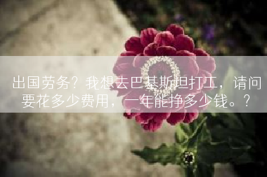 出国劳务？我想去巴基斯坦打工，请问要花多少费用，一年能挣多少钱。？