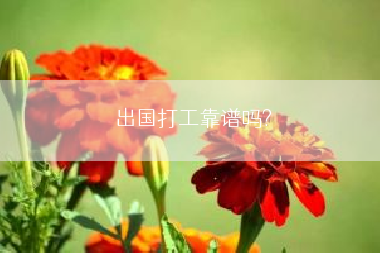 出国打工靠谱吗?