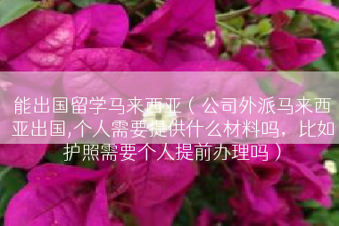 能出国留学马来西亚（公司外派马来西亚出国,个人需要提供什么材料吗，比如护照需要个人提前办理吗）