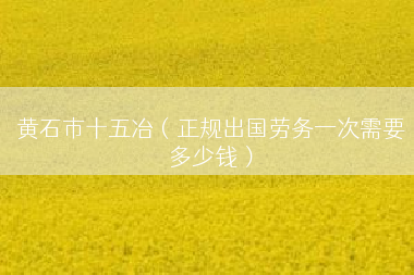 黄石市十五冶（正规出国劳务一次需要多少钱）