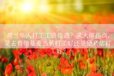 荷兰华人打工工资待遇？求大佬指点，是去肯德基麦当劳打工好还是便利店打工好？