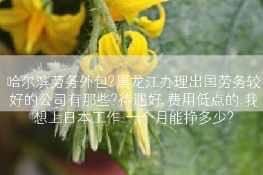 哈尔滨劳务外包?黑龙江办理出国劳务较好的公司有那些?待遇好.费用低点的.我想上日本工作.一个月能挣多少?