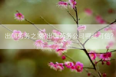 出国劳务之家?出国劳务公司哪些可信?