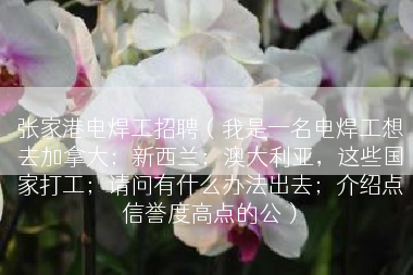 张家港电焊工招聘（我是一名电焊工想去加拿大；新西兰；澳大利亚，这些国家打工；请问有什么办法出去；介绍点信誉度高点的公）