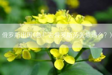 俄罗斯出国(急！去俄罗斯劳务靠谱么？)