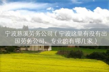 宁波慈溪劳务公司（宁波这里有没有出国劳务公司，专业的有哪几家）