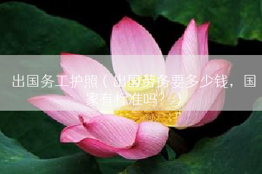 出国务工护照（出国劳务要多少钱，国家有标准吗？）