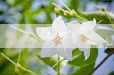 夫妻出国打工