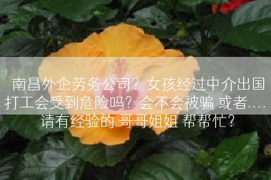 南昌外企劳务公司？女孩经过中介出国打工会受到危险吗？会不会被骗 或者.... 请有经验的 哥哥姐姐 帮帮忙？
