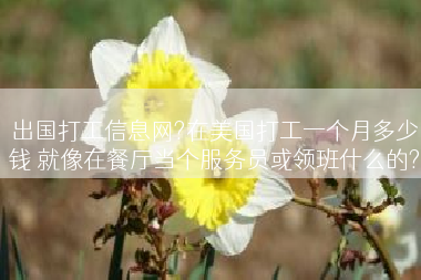 出国打工信息网?在美国打工一个月多少钱 就像在餐厅当个服务员或领班什么的?