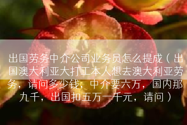 出国劳务中介公司业务员怎么提成（出国澳大利亚大打工本人想去澳大利亚劳务，请问多少钱，中介要六万，国内那九千，出国扣五万一千元，请问）