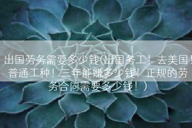 出国劳务需要多少钱(出国务工！去美国！普通工种！三年能赚多少钱！正规的劳务合同需要多少钱！)