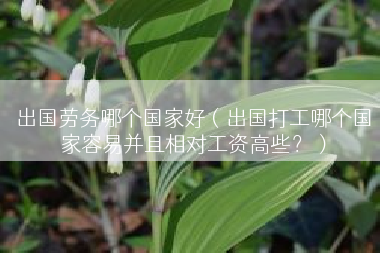 出国劳务哪个国家好（出国打工哪个国家容易并且相对工资高些？）