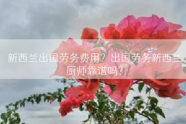 新西兰出国劳务费用？出国劳务新西兰厨师靠谱吗？