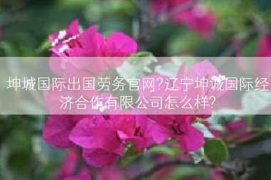 坤城国际出国劳务官网?辽宁坤诚国际经济合作有限公司怎么样?