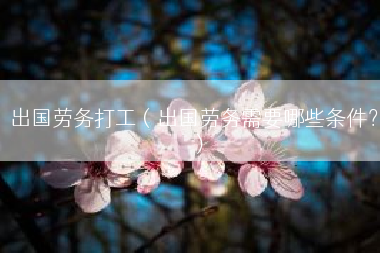 出国劳务打工（出国劳务需要哪些条件？）