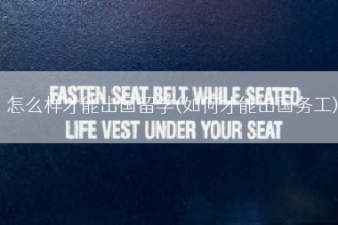 怎么样才能出国留学(如何才能出国务工)
