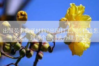 出国劳务翻译材料?出国打工，流程该怎么走，到哪个部门去办理手续?