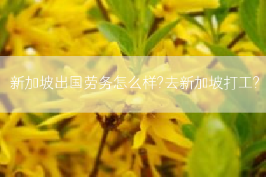 新加坡出国劳务怎么样?去新加坡打工?