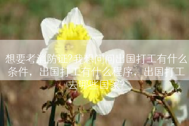 想要考消防证?我想问问出国打工有什么条件，出国打工有什么程序，出国打工去哪些国家?