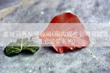 盐城劳务派遣公司(国内哪些公司可以派遣出国劳务的)