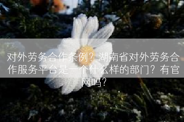 对外劳务合作条例？湖南省对外劳务合作服务平台是一个什么样的部门？有官网吗？
