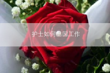 护士如何出国工作
