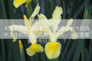 天津劳务资质备案？天津哪里有介绍海外工作的地方。正规的地方。一定要最新的电话地址。？