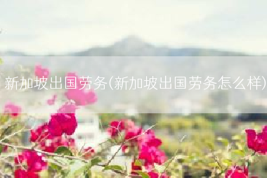 新加坡出国劳务(新加坡出国劳务怎么样)