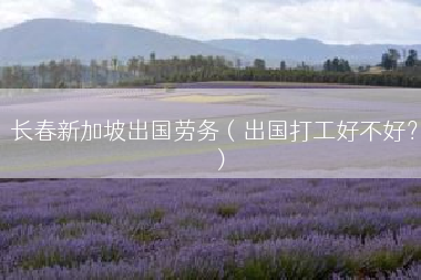 长春新加坡出国劳务（出国打工好不好？）