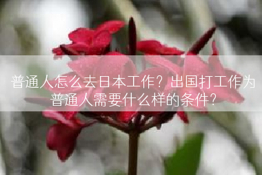 普通人怎么去日本工作？出国打工作为普通人需要什么样的条件？