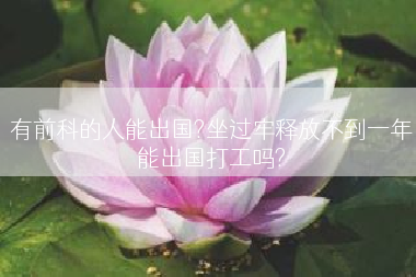 有前科的人能出国?坐过牢释放不到一年能出国打工吗?