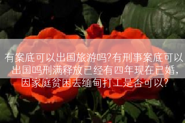有案底可以出国旅游吗?有刑事案底可以出国吗刑满释放已经有四年现在已婚，因家庭贫困去缅甸打工是否可以?