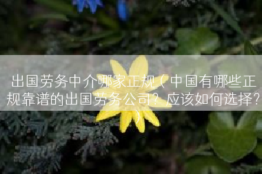 出国劳务中介哪家正规(中国有哪些正规靠谱的出国劳务公司?应该如何选择?) 出国劳务中介哪家正规(中国有哪些正规靠谱的出国劳务公司?应该如何选择?)