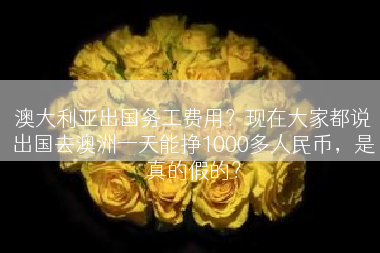澳大利亚出国务工费用？现在大家都说出国去澳洲一天能挣1000多人民币，是真的假的？