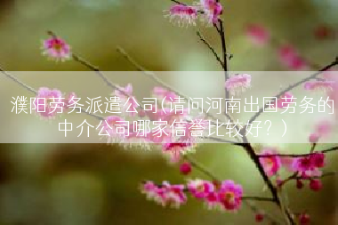 濮阳劳务派遣公司(请问河南出国劳务的中介公司哪家信誉比较好？)