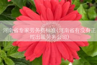 河南省专家劳务费标准(河南省有没有正规出国劳务公司)