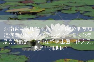 河南省劳务服务平台？请问那位朋友知道河南君诚对外经济技术合作有限公司是真的假的，他们在招聘出国工作人员，主要是非洲地区？