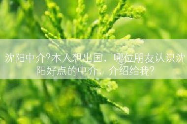 沈阳中介?本人想出国，哪位朋友认识沈阳好点的中介，介绍给我?