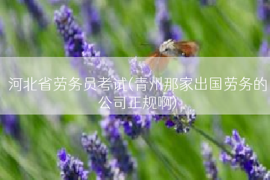 河北省劳务员考试(青州那家出国劳务的公司正规啊)