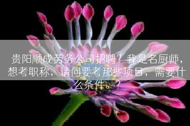 贵阳顺成劳务公司招聘？我是名厨师，想考职称，请问要考那些项目，需要什么条件。？