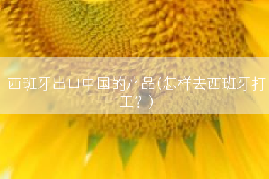 西班牙出口中国的产品(怎样去西班牙打工？)
