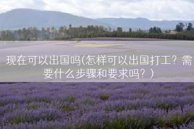 现在可以出国吗(怎样可以出国打工？需要什么步骤和要求吗？)